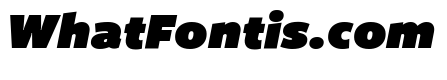 Freight Sans Ultra Black Italic
