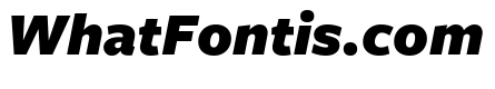 Freight Sans Black Italic
