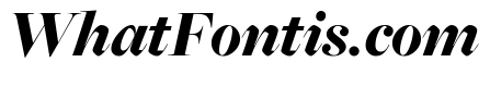 Freight Big Black Italic