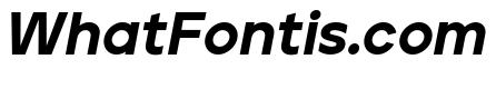 Jeko Black Italic