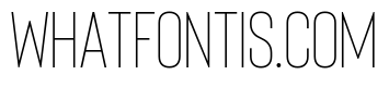 Bison Light