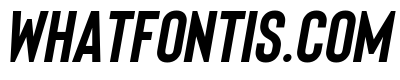 Bison Bold Italic