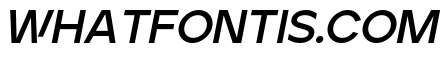 Ardela Edge X02 Bold Italic