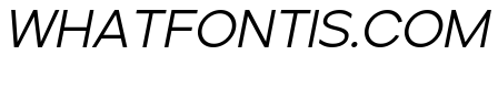 Ardela Edge X01 Regular Italic