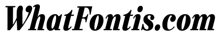 Urge Text Condensed Black Italic