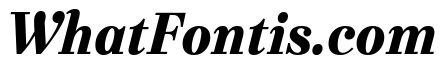 Urge Text Black Italic