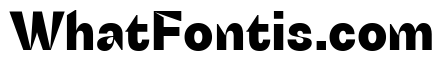 Schizotype Grotesk Heavy