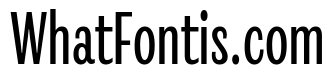Revla Sans Text Bold
