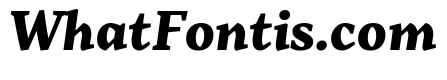 Range Serif Black Italic
