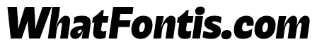 Galix Black Italic