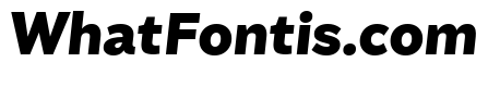 Amica Black Italic