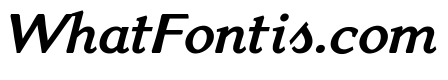 Venis Bold Italic