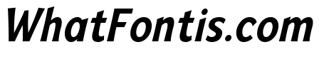 Mingler Medium Italic