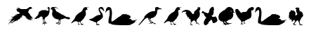 Fowl Play Regular