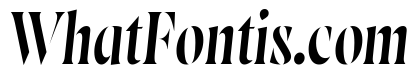 Wayfinder Stencil Thin Italic