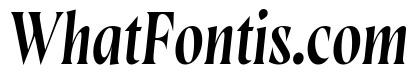 Wayfinder Thin Italic