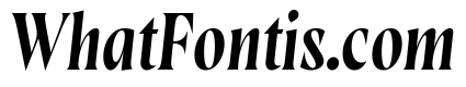 Wayfinder Light Italic