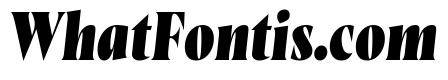 Wayfinder Heavy Italic