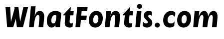 Cygnet Bold Italic