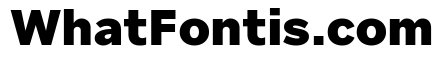 Custom Sans Black