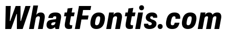 Couplet Heavy Italic