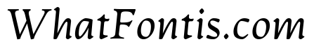Artifex Light Italic