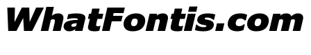 Verdana Pro Black Italic