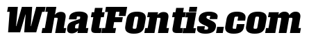 Roster Narrow Bold Italic