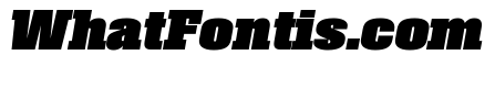 Roster Narrow Black Italic