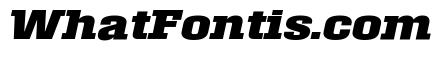Roster Expanded Bold Italic