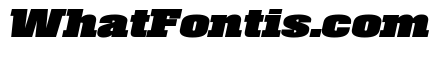 Roster Expanded Black Italic