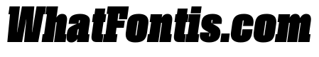 Roster Compressed Black Italic