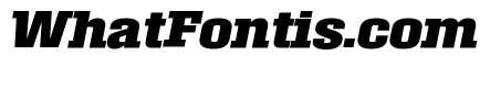 Roster Bold Italic