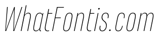 Marianina Condensed Thin Italic