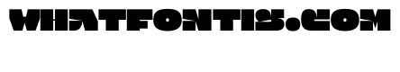 Jack Regular