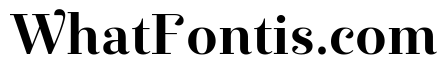 Exquise Bold