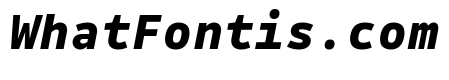 Drive Mono Extra Bold Italic