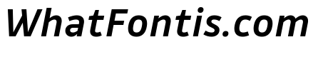 Drive Medium Italic