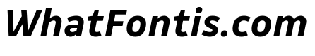 Drive Bold Italic