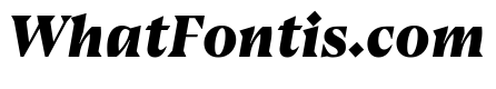 Bluu Suuperstar Black Italic