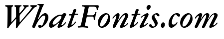 Garamond Micro Medium Italic