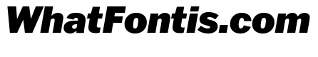 Franklin Gothic Black Italic