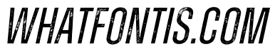 Zuume Rough Regular Italic