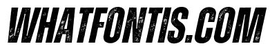 Zuume Rough Bold Italic