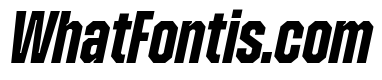 Zuume Edge Bold Italic