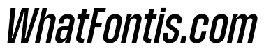 Zuume Medium Italic