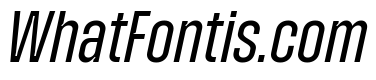 Zuume Cut Regular Italic