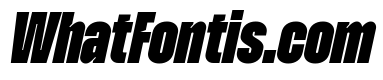 Zuume Cut Black Italic