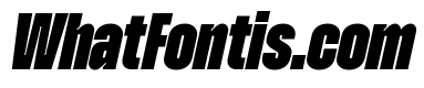 Zuume Black Italic
