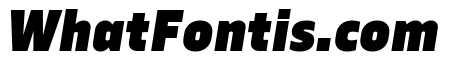 Serca Black Italic